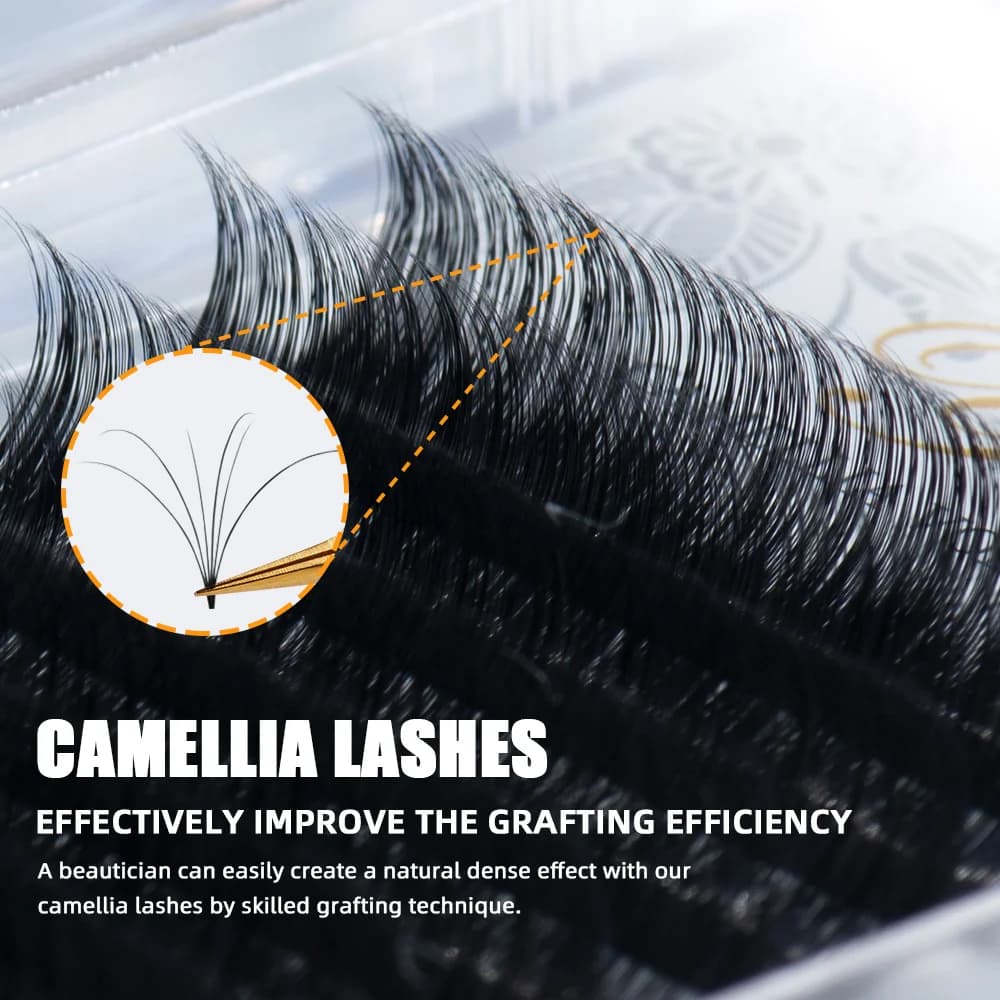 ขนตาต่อแบบพัดวอลลุ่ม Camellia หลายความยาว